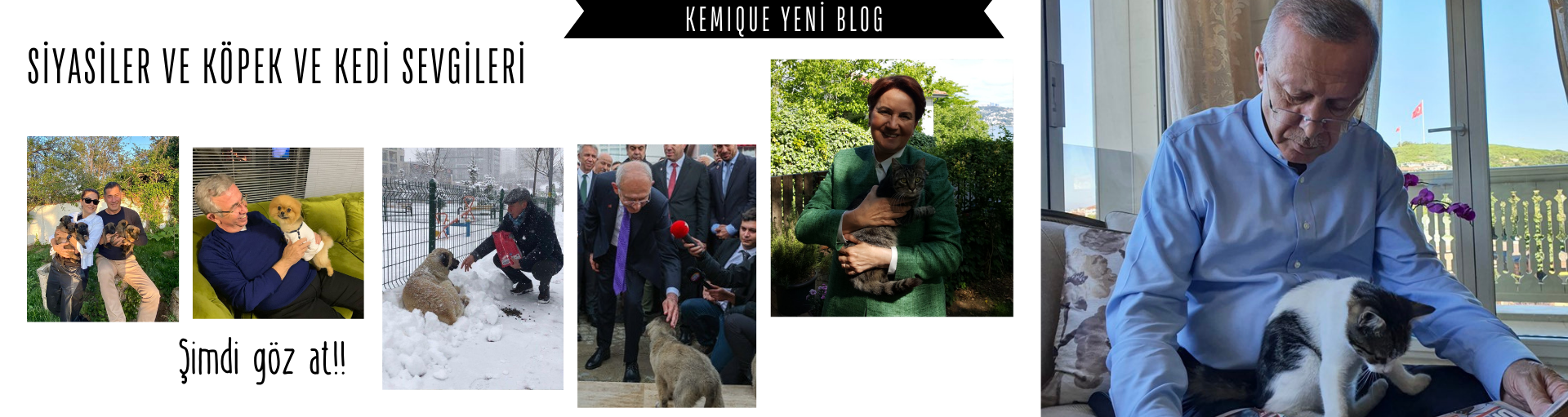 Siyasete Tüylü Bir Dokunuş: Cumhurbaşkanı Adayları Arasındaki Kedi ve Köpek Sevgi Yarışı